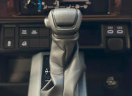 Toyota Hembrita 2025